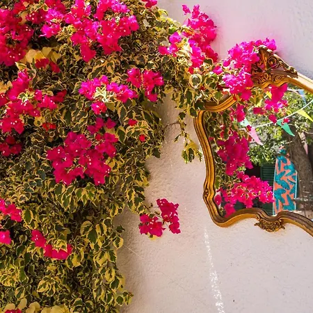 Villa Boho House & Garden, Seconds From The